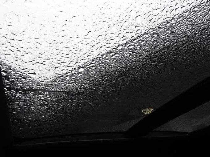 Ford Focus Lim. Active X Autom. **Panoramadach, ACC**