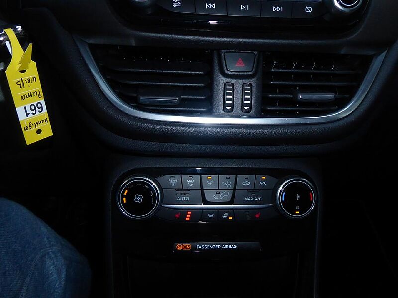 Ford Puma Titanium X, R&uuml;ckfahrkam. ,Pano