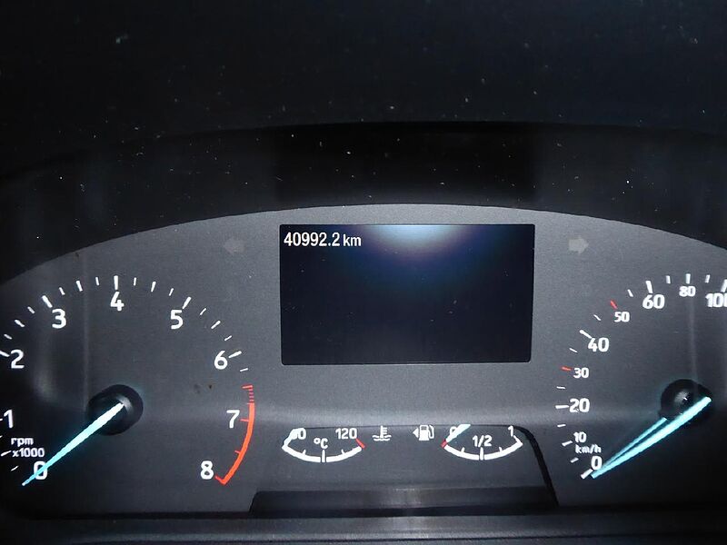 Ford Puma Titanium X, R&uuml;ckfahrkam. ,Pano