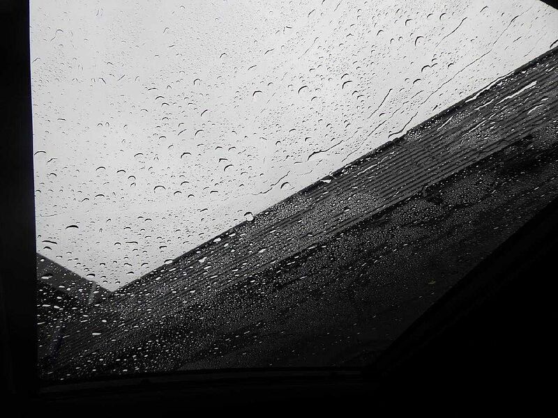 Ford Kuga ST-Line X, Allrad, R&uuml;ckfahrkam.