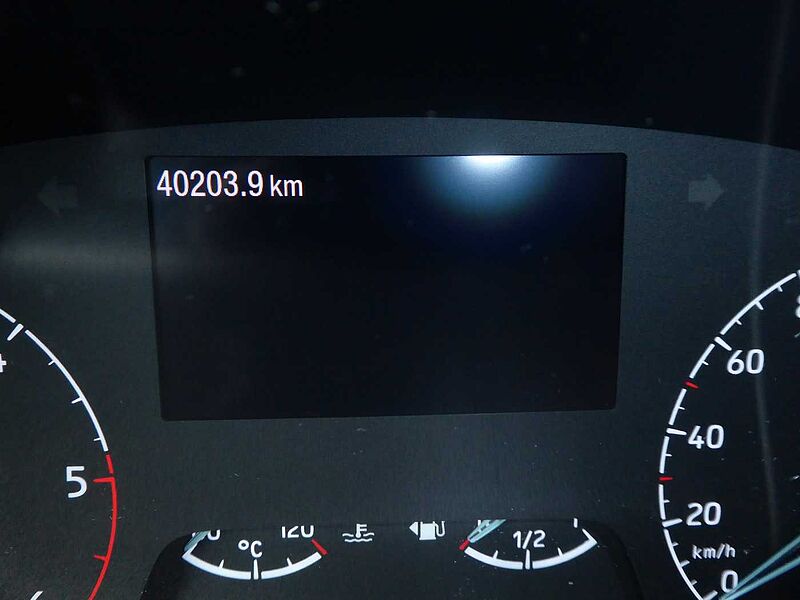 Ford Transit Kasten 350 L3 Trend,360°Cam, NAV